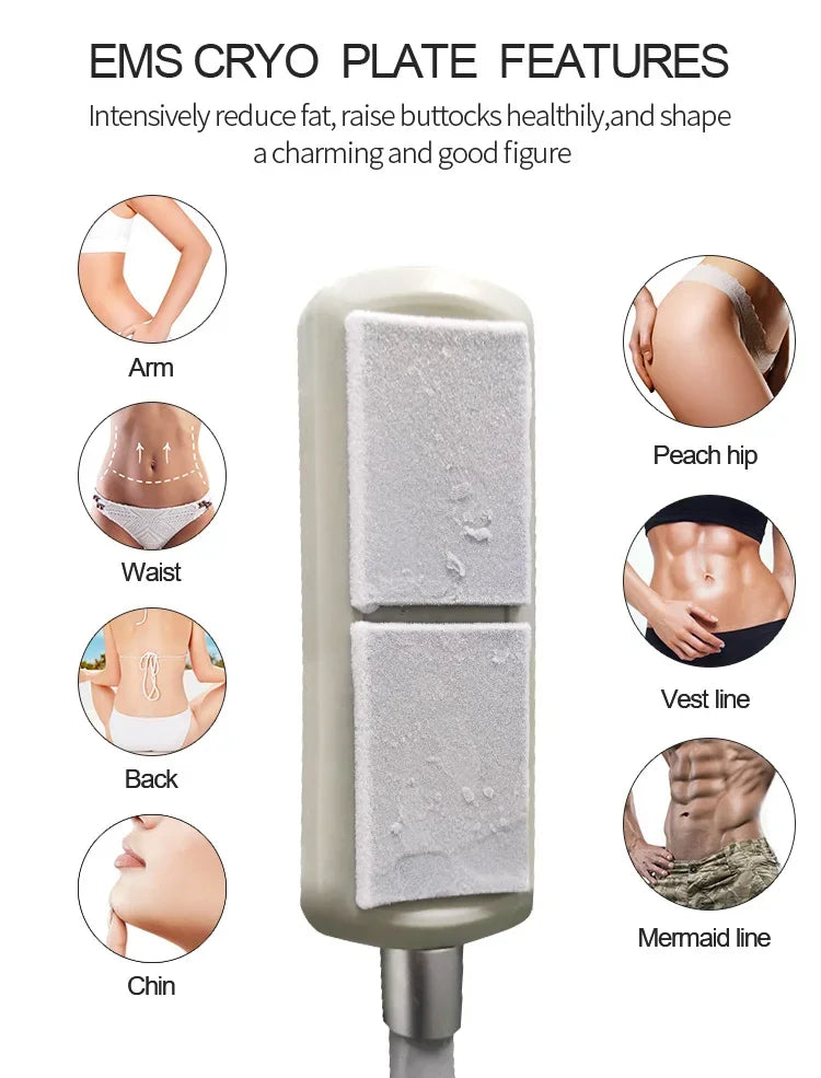 Máquina Criolipolise EMS com Estimulação Muscular - Equipamento Profissional Modelação Corporal